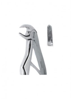 Extracting Forceps